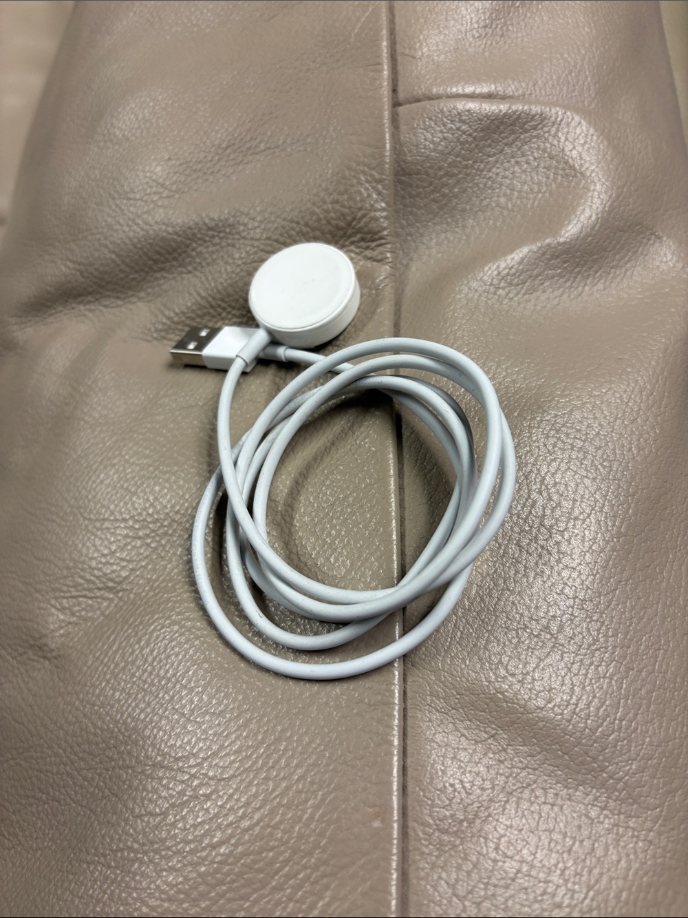 Apple White Magnetic Charging Cable for Wearables